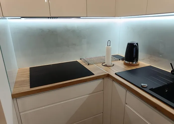 Amaprament Do Poznania Self Check-in 24h, Free Parking Διαμέρισμα